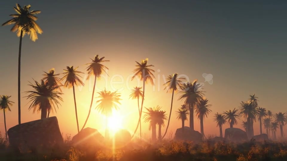 Palms in Desert at Sunset Videohive 19118278 Motion Graphics Image 7