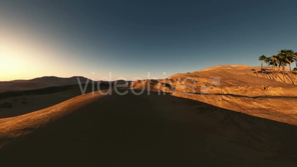 Palms in Desert at Sunset Videohive 19560253 Motion Graphics Image 2