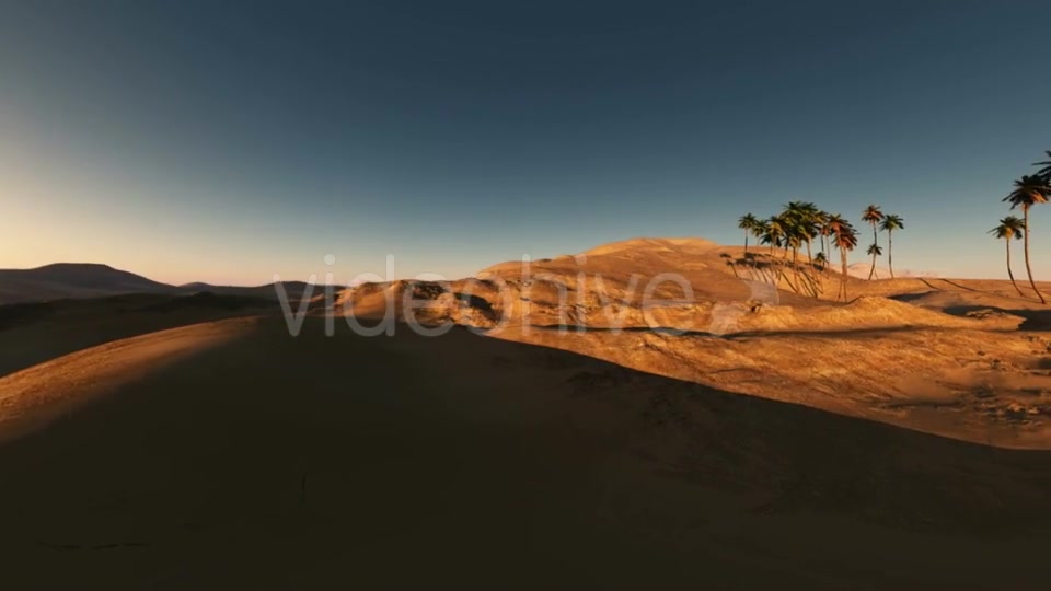 Palms in Desert at Sunset Videohive 19560253 Motion Graphics Image 3