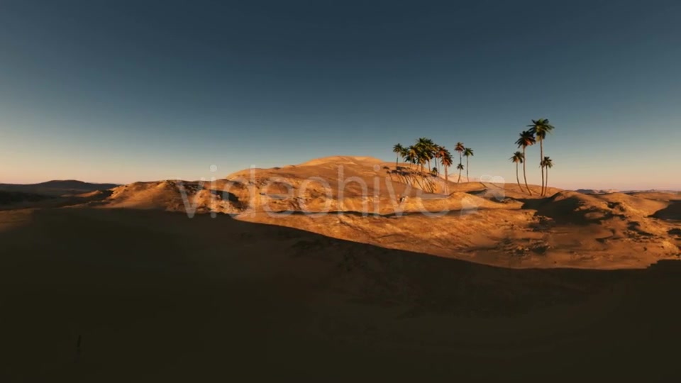 Palms in Desert at Sunset Videohive 19560253 Motion Graphics Image 4