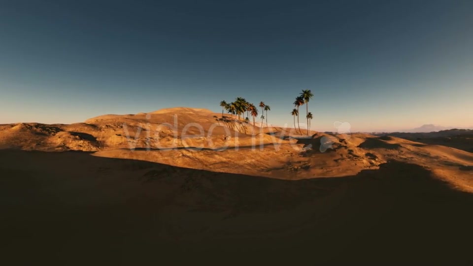 Palms in Desert at Sunset Videohive 19560253 Motion Graphics Image 5