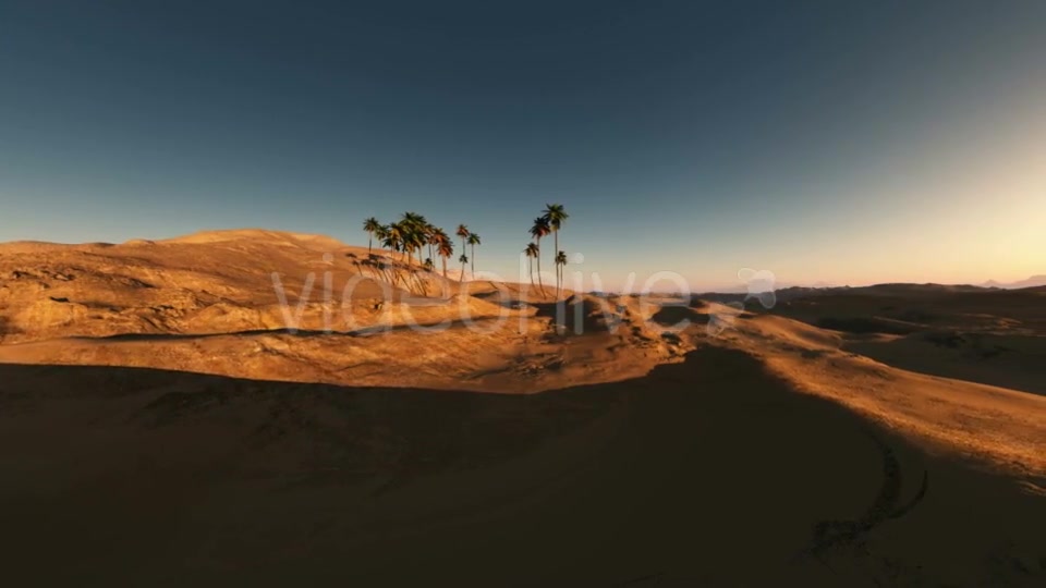 Palms in Desert at Sunset Videohive 19560253 Motion Graphics Image 6