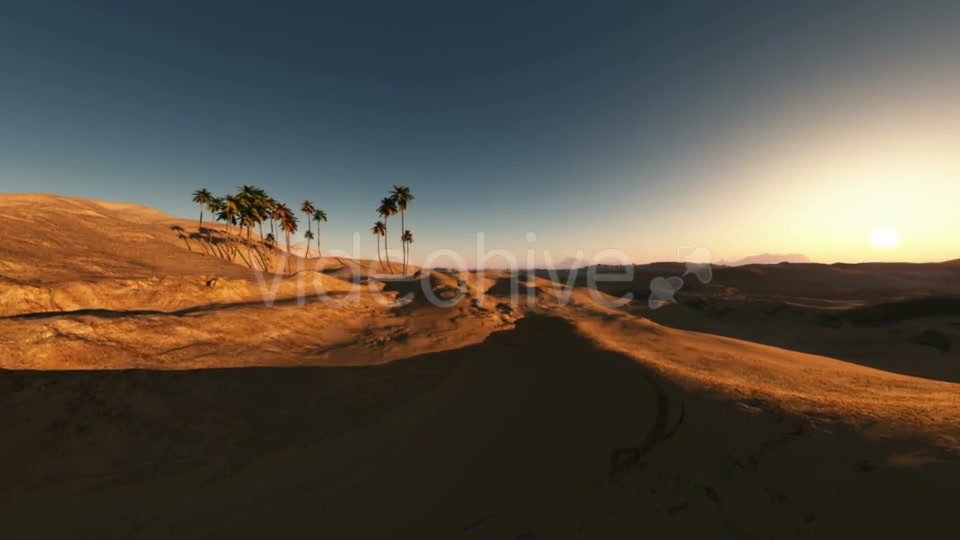 Palms in Desert at Sunset Videohive 19560253 Motion Graphics Image 7