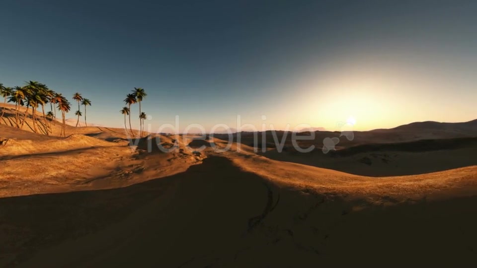 Palms in Desert at Sunset Videohive 19560253 Motion Graphics Image 8