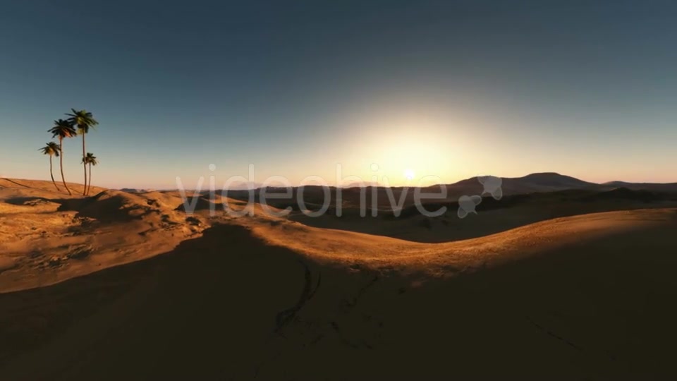 Palms in Desert at Sunset Videohive 19560253 Motion Graphics Image 9