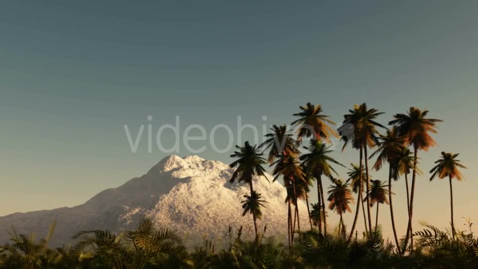 Palms in Desert at Sunset Videohive 19269063 Motion Graphics Image 1