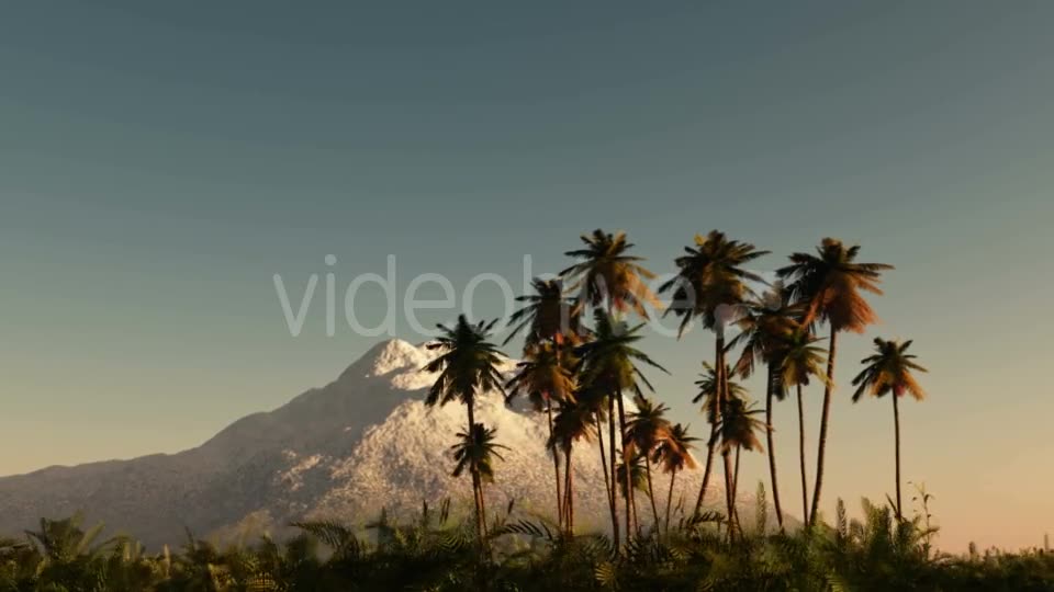 Palms in Desert at Sunset Videohive 19269063 Motion Graphics Image 2