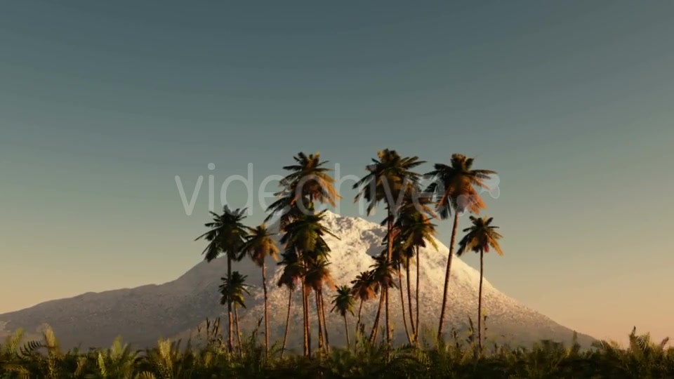 Palms in Desert at Sunset Videohive 19269063 Motion Graphics Image 4