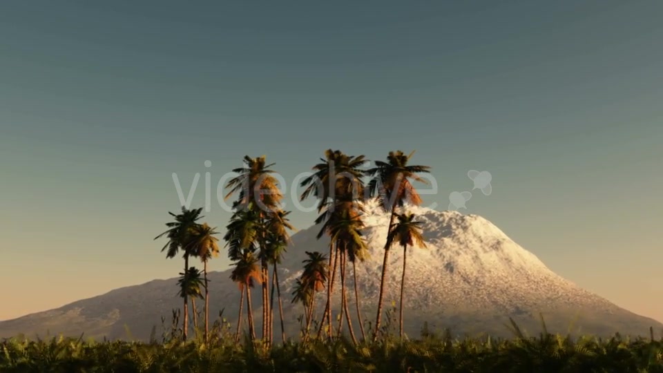 Palms in Desert at Sunset Videohive 19269063 Motion Graphics Image 6