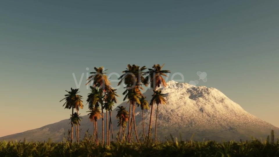 Palms in Desert at Sunset Videohive 19269063 Motion Graphics Image 7