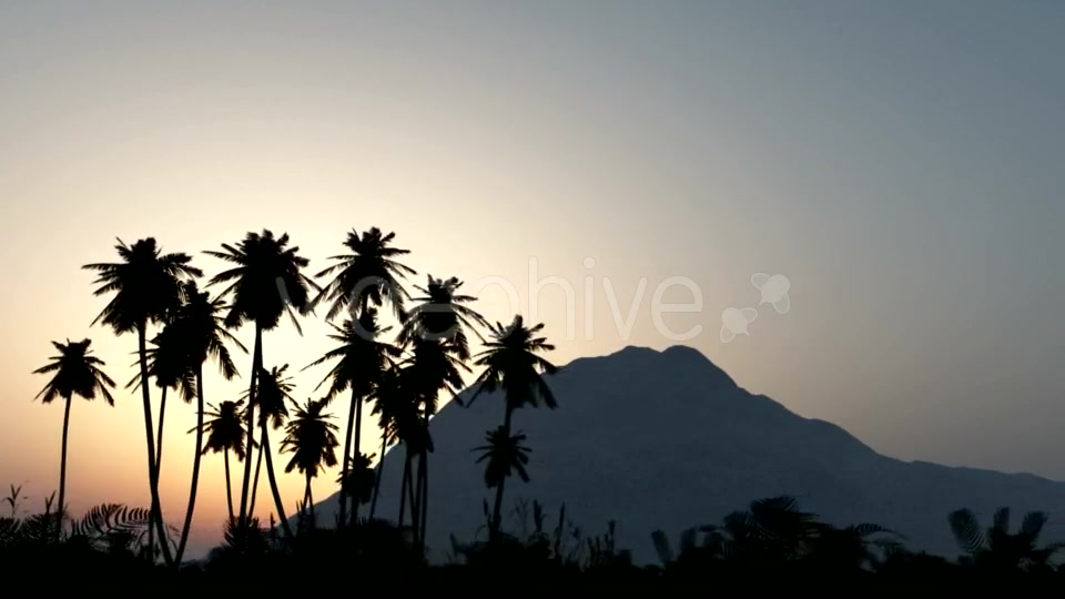 Palms in Desert at Sunset Videohive 19668305 Motion Graphics Image 10