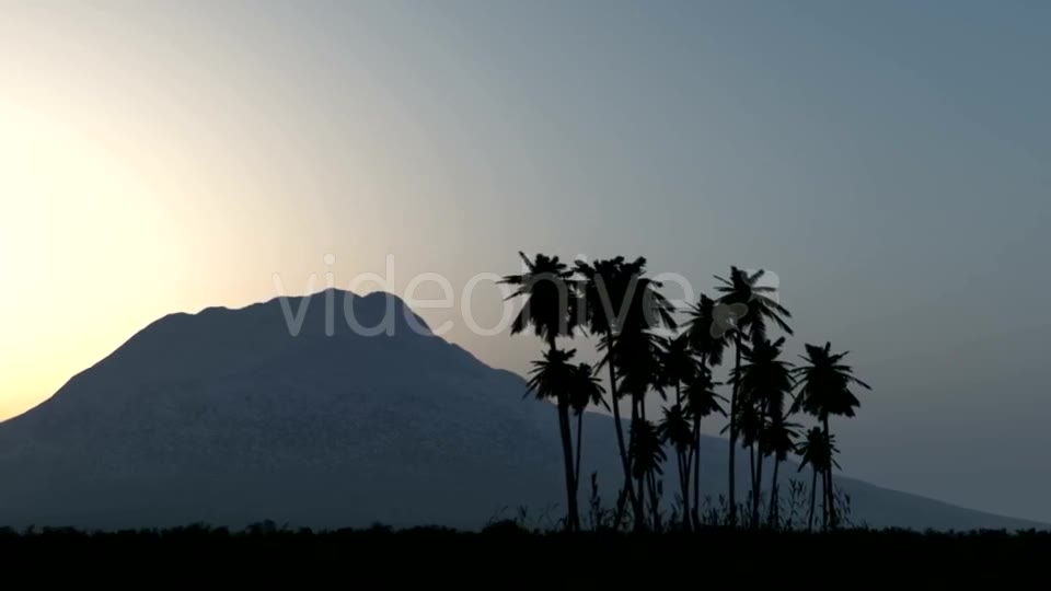 Palms in Desert at Sunset Videohive 19668305 Motion Graphics Image 2