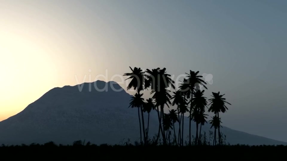 Palms in Desert at Sunset Videohive 19668305 Motion Graphics Image 3