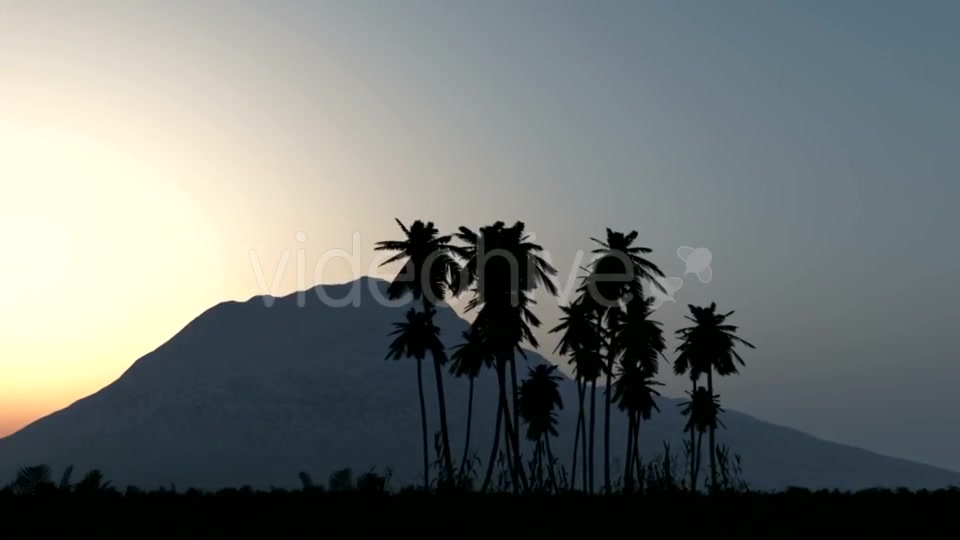 Palms in Desert at Sunset Videohive 19668305 Motion Graphics Image 4