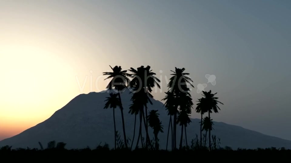 Palms in Desert at Sunset Videohive 19668305 Motion Graphics Image 5