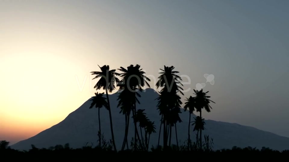 Palms in Desert at Sunset Videohive 19668305 Motion Graphics Image 6