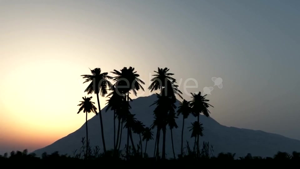 Palms in Desert at Sunset Videohive 19668305 Motion Graphics Image 7
