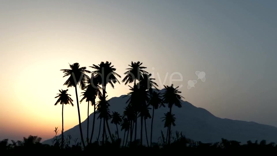 Palms in Desert at Sunset Videohive 19668305 Motion Graphics Image 8
