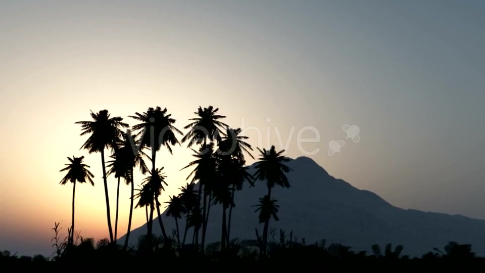 Palms in Desert at Sunset Videohive 19668305 Motion Graphics Image 9