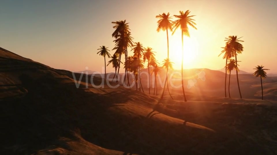Palms in Desert at Sunset Videohive 19212144 Motion Graphics Image 7