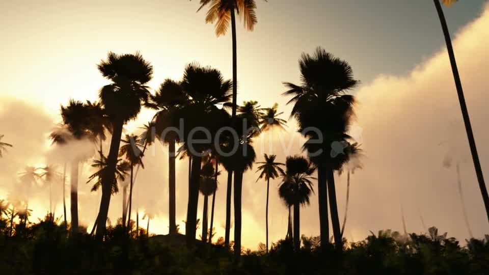 Palms in Desert at Sunset Videohive 19269122 Motion Graphics Image 1