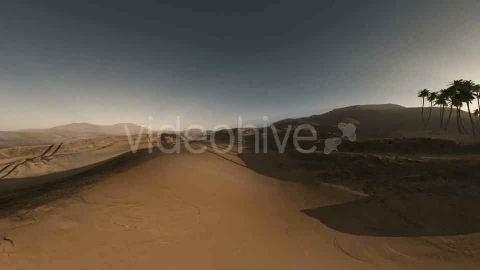 Palms in Desert at Sunset Videohive 19281503 Motion Graphics Image 2