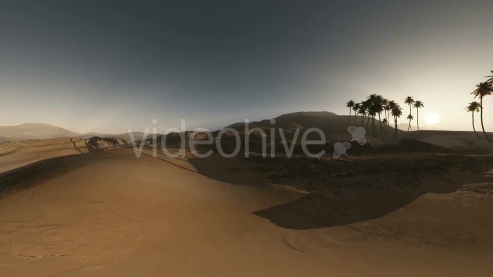 Palms in Desert at Sunset Videohive 19281503 Motion Graphics Image 3
