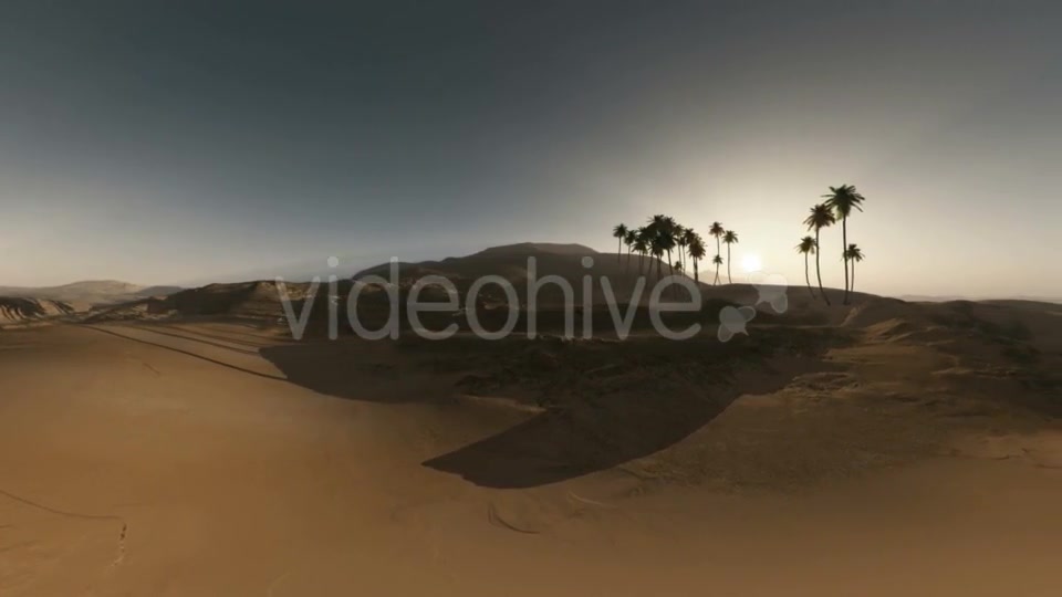 Palms in Desert at Sunset Videohive 19281503 Motion Graphics Image 4