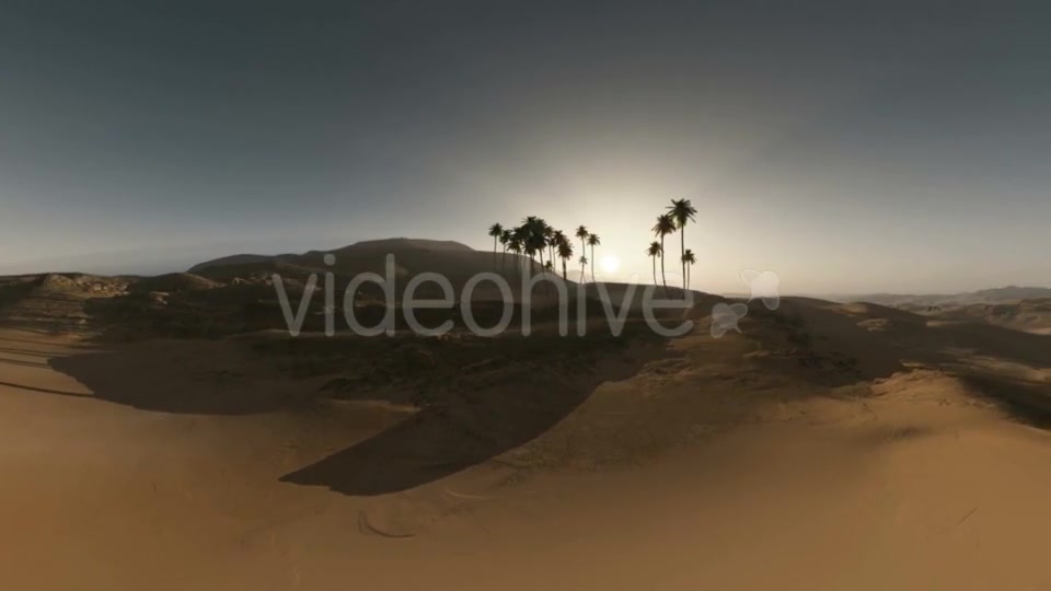 Palms in Desert at Sunset Videohive 19281503 Motion Graphics Image 5