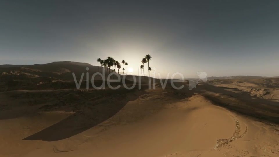 Palms in Desert at Sunset Videohive 19281503 Motion Graphics Image 6