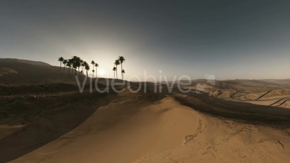 Palms in Desert at Sunset Videohive 19281503 Motion Graphics Image 7