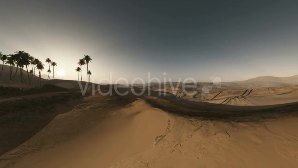Palms in Desert at Sunset Videohive 19281503 Motion Graphics Image 8