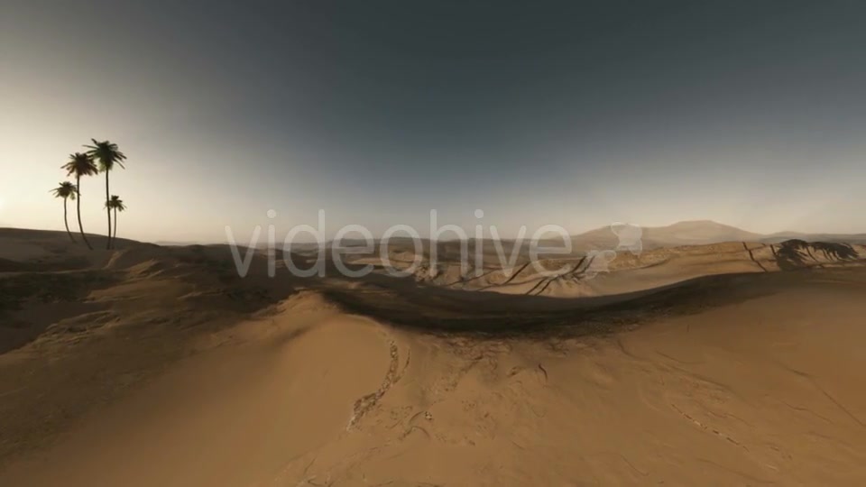Palms in Desert at Sunset Videohive 19281503 Motion Graphics Image 9