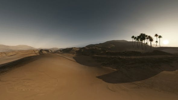 Palms in Desert at Sunset - Videohive Download 19281503