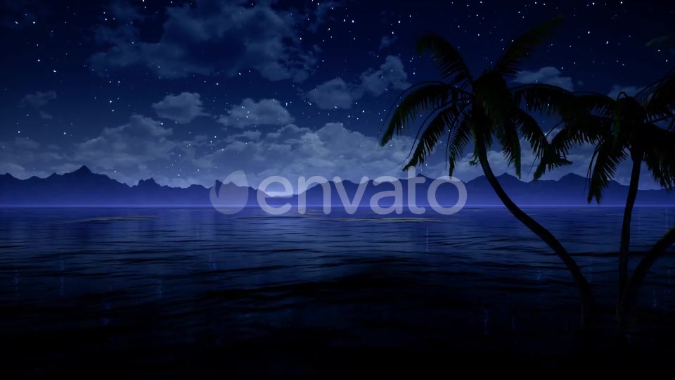 Palms in Ocean At Blue Night Videohive 21876641 Motion Graphics Image 4