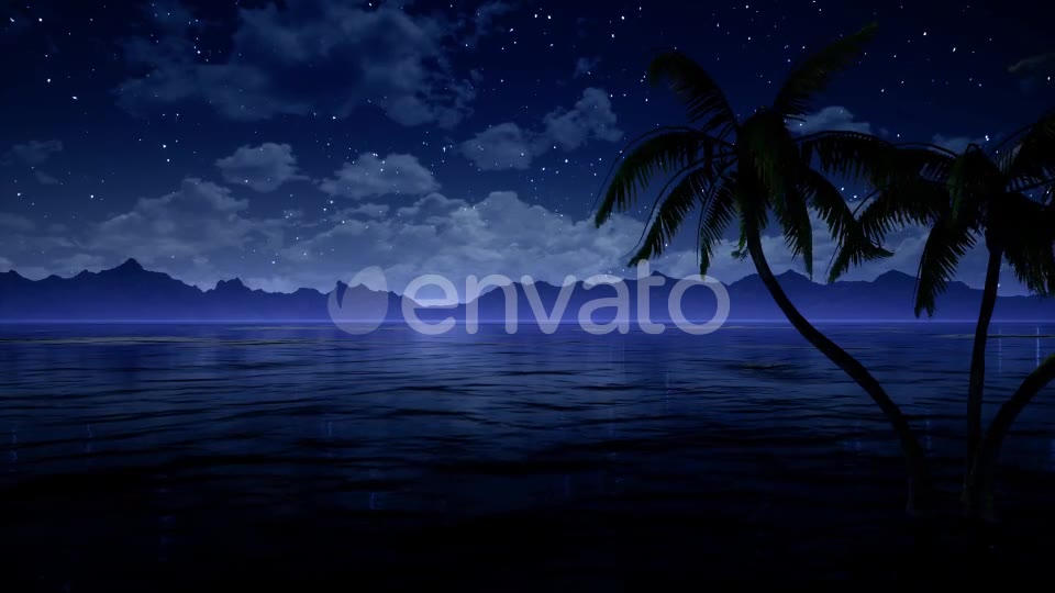 Palms in Ocean At Blue Night Videohive 21876641 Motion Graphics Image 8