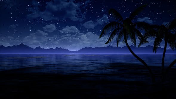 Palms in Ocean At Blue Night - Download Videohive 21876641