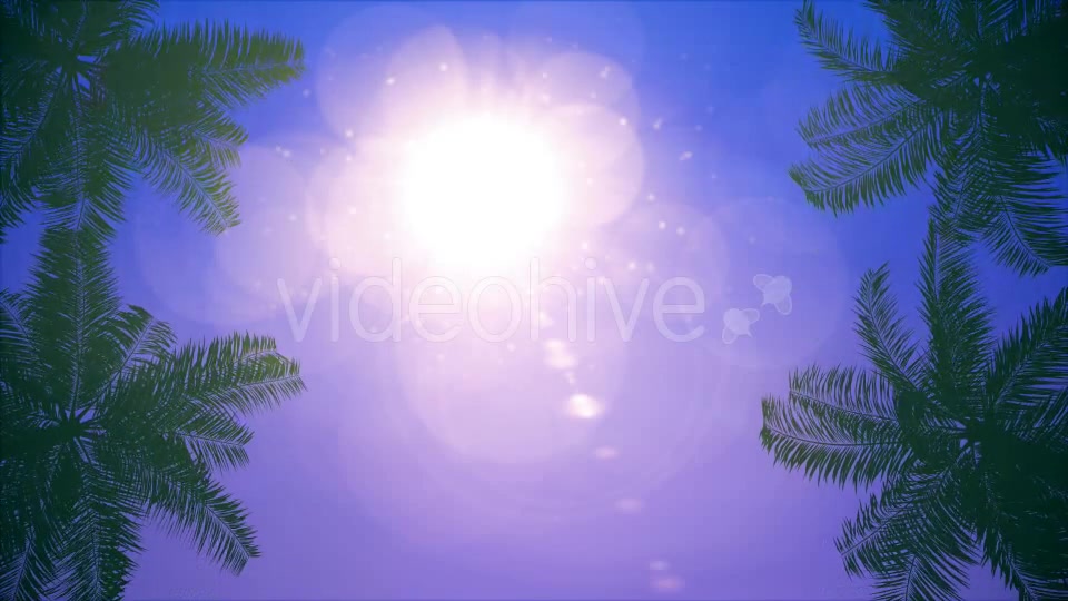 Palms Loop Background Videohive 20233298 Motion Graphics Image 2