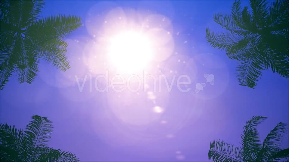 Palms Loop Background Videohive 20233298 Motion Graphics Image 3