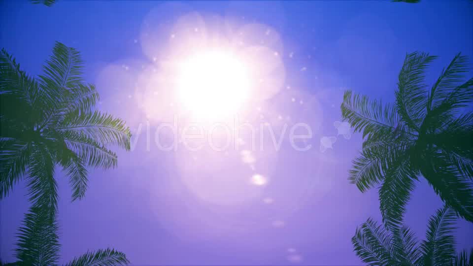 Palms Loop Background Videohive 20233298 Motion Graphics Image 8