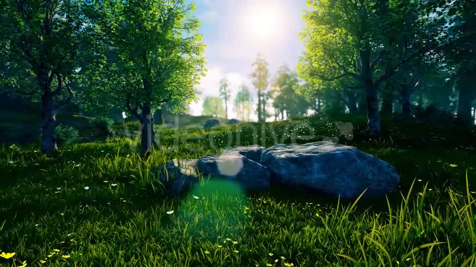 Panorama Forest 360 Videohive 17260849 Motion Graphics Image 1