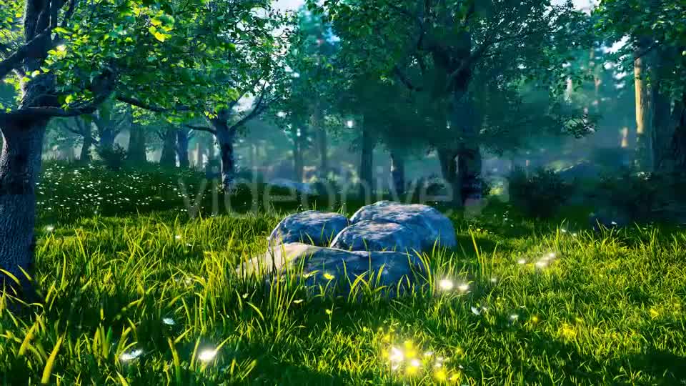 Panorama Forest 360 Videohive 17260849 Motion Graphics Image 10