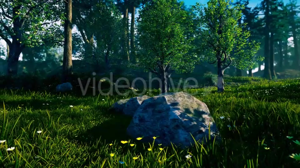 Panorama Forest 360 Videohive 17260849 Motion Graphics Image 3