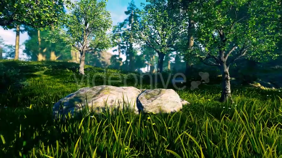 Panorama Forest 360 Videohive 17260849 Motion Graphics Image 5