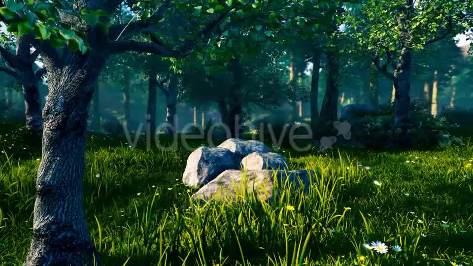 Panorama Forest 360 Videohive 17260849 Motion Graphics Image 9