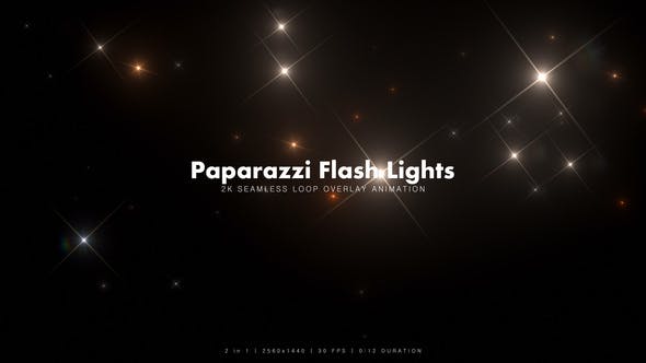 Paparazzi Flash Lights 1 - Download 15683609 Videohive