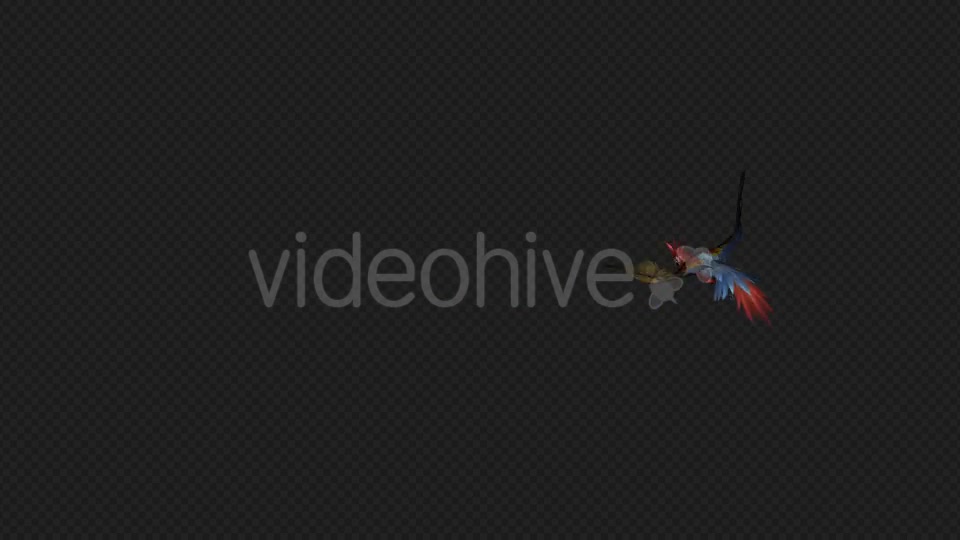 Parrot Fly Idle Pack01 4 In 1 Videohive 20476658 Motion Graphics Image 3