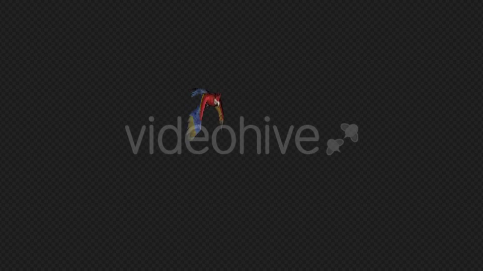 Parrot Fly Idle Pack01 4 In 1 Videohive 20476658 Motion Graphics Image 4