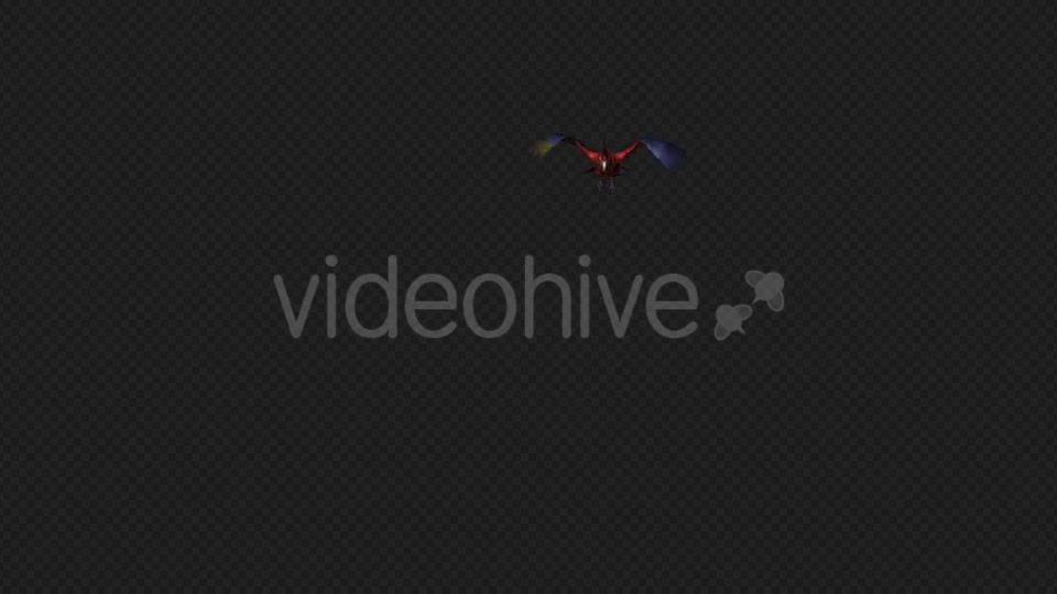 Parrot Fly Idle Pack01 4 In 1 Videohive 20476658 Motion Graphics Image 7