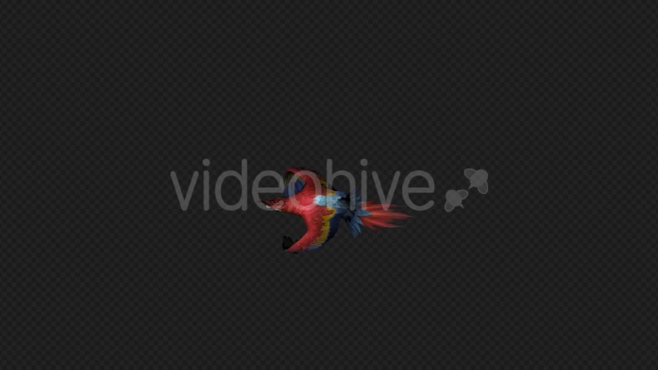 Parrot Fly Pack 4 In 1 Videohive 20476654 Motion Graphics Image 2